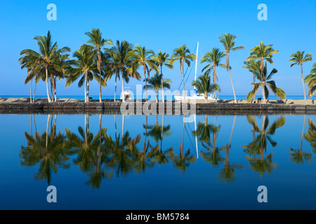 Blue lagoon with palm trees and reflection in water Stock Photo