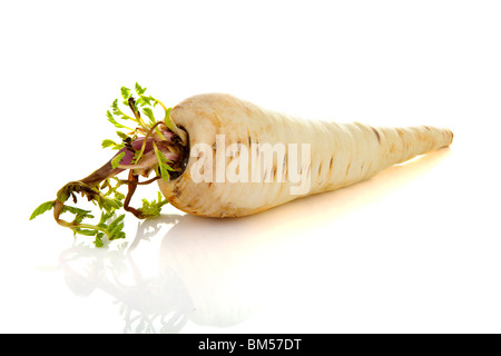 Fresh parsnip vegetable isolated on white background Stock Photo