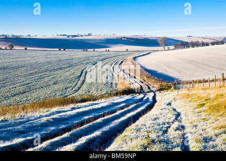 A sunny frosty winter landscape view or scene on the Downs in Wiltshire, England, UK Stock Photo