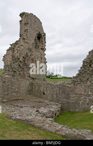 The remnants of Montgomery Castle, Powys, Wales Stock Photo