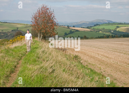 On Offa's Dyke footpath near Churchtown, Shropshire Stock Photo