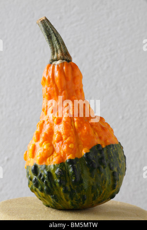 Portrait of decorative Gourd, fleshy fruit with hard skin cut from climbing plant. Stock Photo