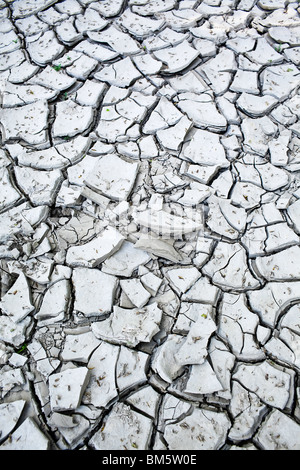 Cracked clay mud due to a recent drought. Stock Photo