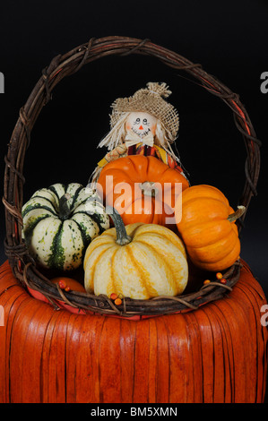 Halloween Basket with Gourds and Pumpkins Stock Photo