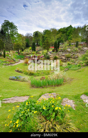 The Japanese garden Avenham park Preston Stock Photo