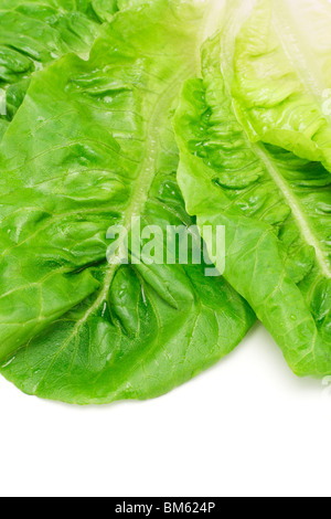 Leaves of romaine lettuce on white background Stock Photo