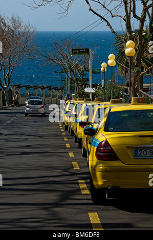 Line of yellow taxi cars cabs taxis cab parked waiting for business at roadside Funchal Madeira Portugal EU Europe Stock Photo