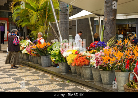 Flower seller flowers for sale business stall in the city town centre  Funchal Madeira Portugal EU Europe Stock Photo