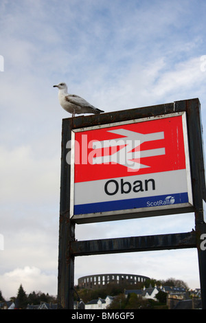 Seagull sitting on a railway sign Welcome to Oban, Scotland Stock Photo