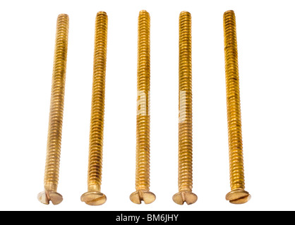 Close-up of screws arranged in a row Stock Photo