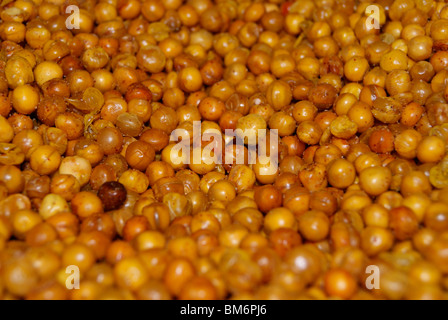 Simply Spicy Brown Chickpea chilled and fried in natural coconut oil with salt ,coriander and red chillies Stock Photo