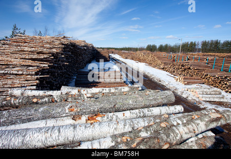 View of railroad depot where logs are loaded to cargo trains , Finland Stock Photo