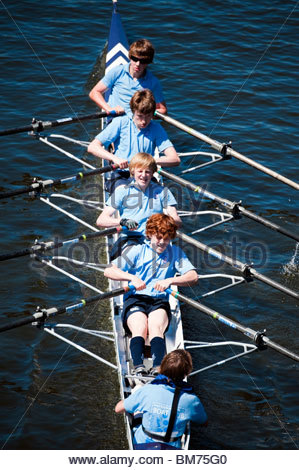 Aerial view, rowing competition, rowing boats, Allermoehe ...