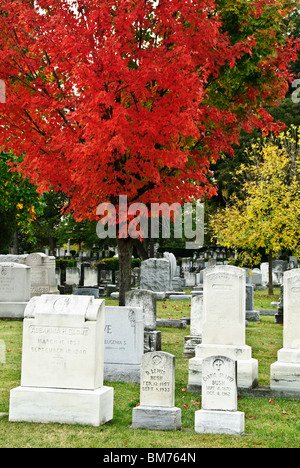 Fall Colors, National Cemetery, Winchester, Frederick County, Virginia Stock Photo