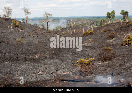 Chobham Ridge Ranges Heath Fire at the Ranges Chobham Stock Photo - Alamy