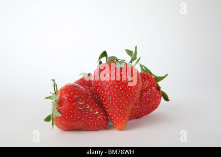 Juicy strawberrys Stock Photo
