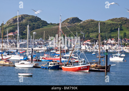 Deganwy Quays Marina on the Conwy Estuary on North Wales West Coast Stock Photo