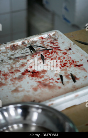 Fish scales and fins on a bloody Polystyrene tray Stock Photo