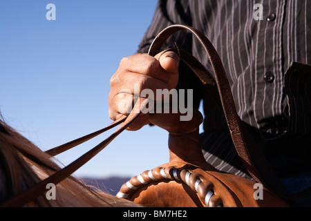 Man holding the reins of horse, close-up, focus on hand Stock Photo