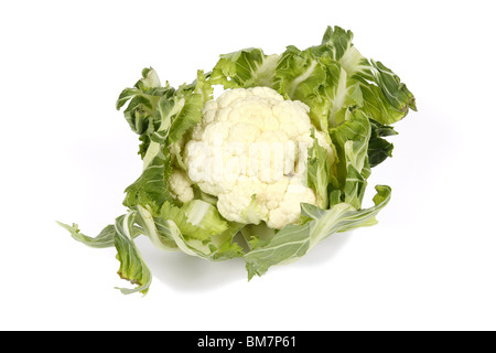 A Cauliflower vegetable against a white background Stock Photo