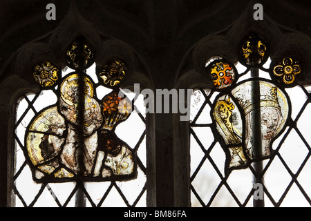 UK, Cornwall, Laneast, church of St Sidwell and St Gulval, rare fragments of medieval stained glass window Stock Photo