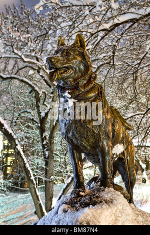 Statue of Balto in New York City's Central Park at night after a snowstorm Stock Photo