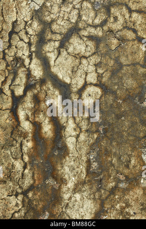 Dirty, covered with stains and cracks, a surface of a stone wall Stock Photo