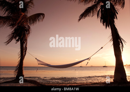 hammock hanging between two palms at sunset. Stock Photo