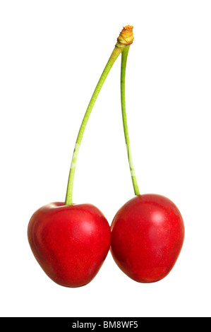 Close up of a pair of ripe cherries, on a pure white background Stock Photo