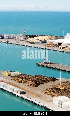 Logs stacked up in the Port of Napier in New Zealand Stock Photo