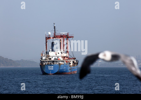 Seagull flying past the Gatun General Cargo Ship waiting in Pacific Ocean to enter the the Panama Canal, Panama Stock Photo