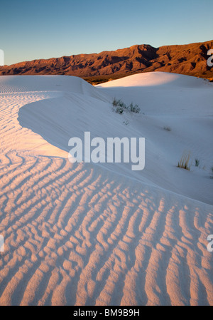 Salt Basin Dunes, Guadalupe Mountains National Park, Texas Stock Photo