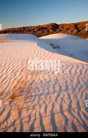 Salt Basin Dunes, Guadalupe Mountains National Park, Texas Stock Photo