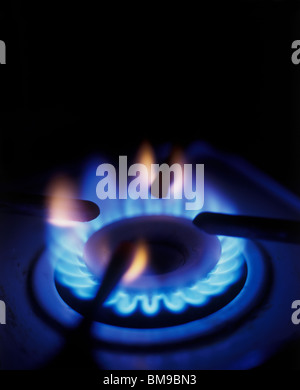 Flame of burner on a gas stove Appliance Stock Photo