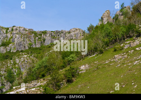 The Limestone Cliffs Of Cheddar Gorge Somerset England Stock Photo