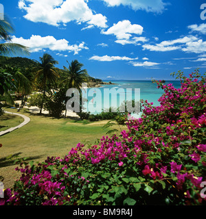 Colourful view over Hawksbill Beach on the island of Antigua Stock Photo