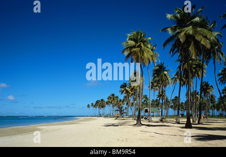 Luquillo Beach, a mile long sand beach lined by palm trees on the island of Puerto Rico Stock Photo