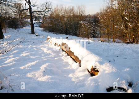 A fallen tree trunk covered in snow Stock Photo