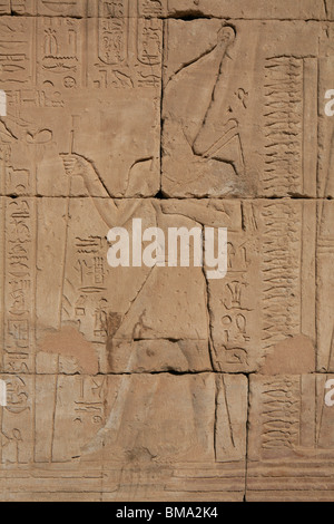 Hieroglyphs on the walls of the Temple of Horus in Edfu, Egypt Stock Photo