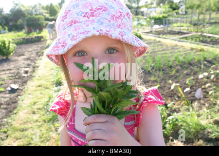 Young Girl sniffing a bunch of mint Stock Photo