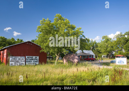 World's Largest Pecan near Brunswick, Missouri Stock Photo Alamy