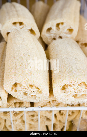 Sea sponges at street market, Tarpon Springs, Florida, USA Stock Photo