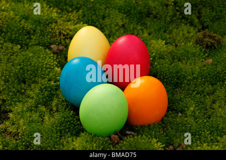 Easter Eggs on Moss Stock Photo