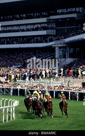 Horse racing at Ascot racecourse during Royal Ascot Stock Photo