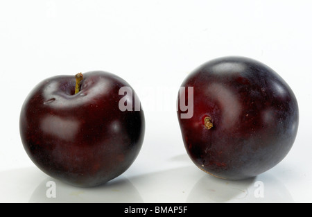 plums Stock Photo