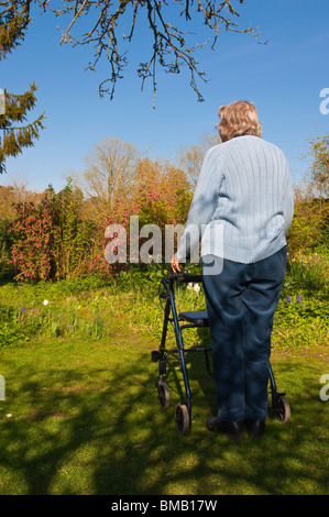A MODEL RELEASED picture of an elderly woman with her rollator ( walking frame ) in a cottage garden in Suffolk , England , Uk Stock Photo