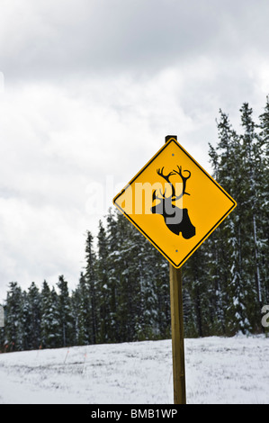A highway sign warning of wild caribou Stock Photo