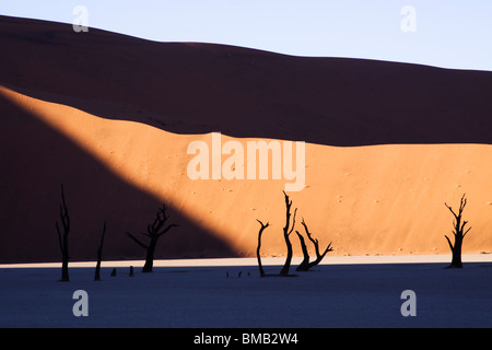 Sun shining on a part of Dead Vlei, in Namibia Stock Photo