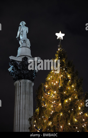 Norwegian Christmas Tree, Trafalgar Square, London, England, UK, Europe, with Nelson's Column in the background Stock Photo