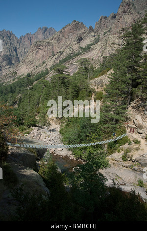 Walker on suspension bridge in the mountains of Corsica Stock Photo